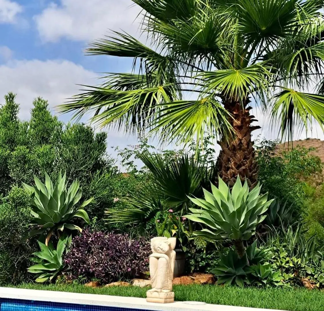 Villa Pool-Side Chic Studio In Beautiful Countryside Mijas