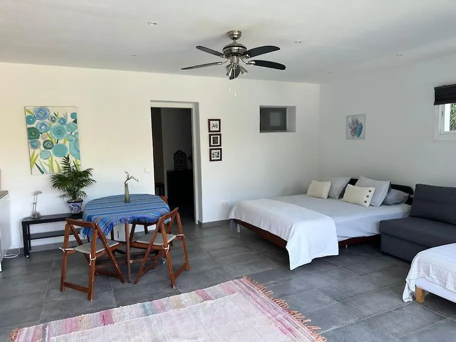 Pool-Side Chic Studio In Beautiful Countryside 米哈斯 西班牙